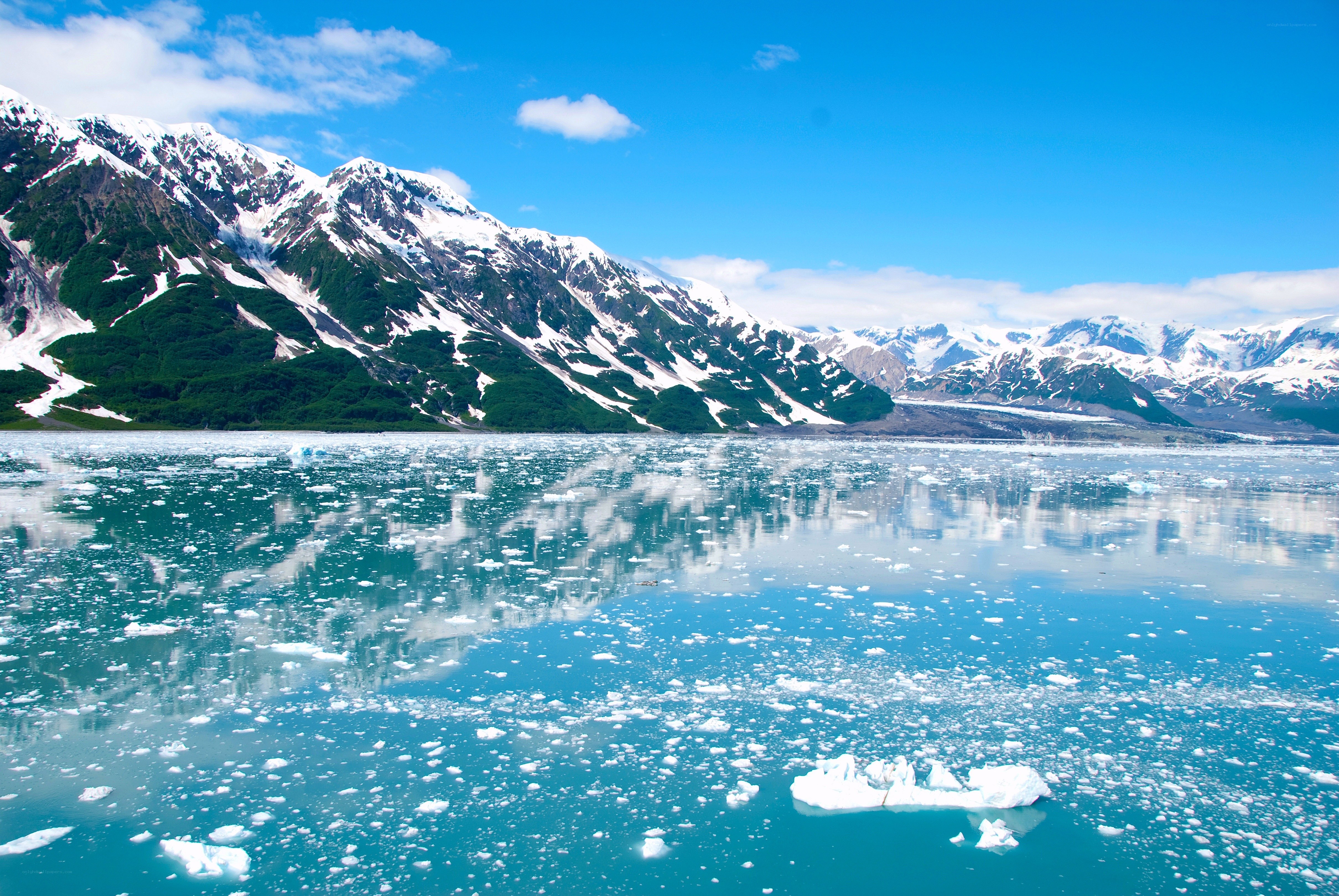 Glacier Bay ice floes