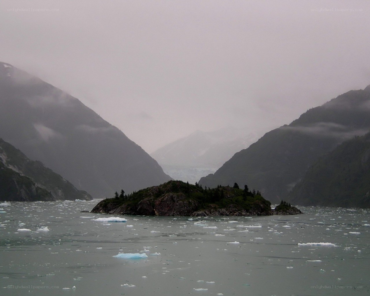 Glacier bay with ice floes