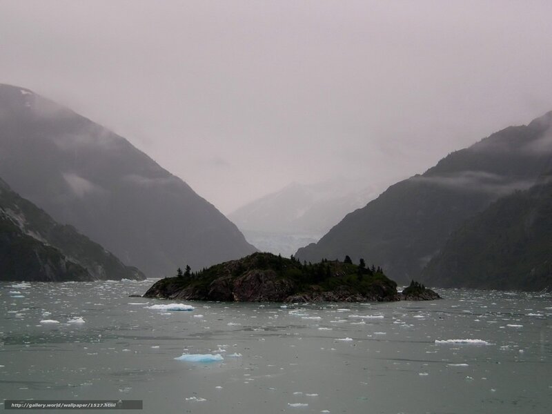 Glacier bay with icebergs