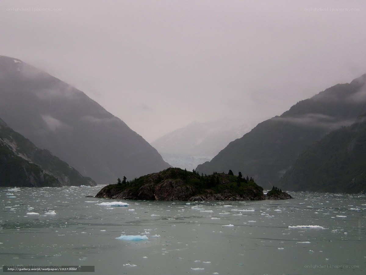 Glacier bay with icebergs