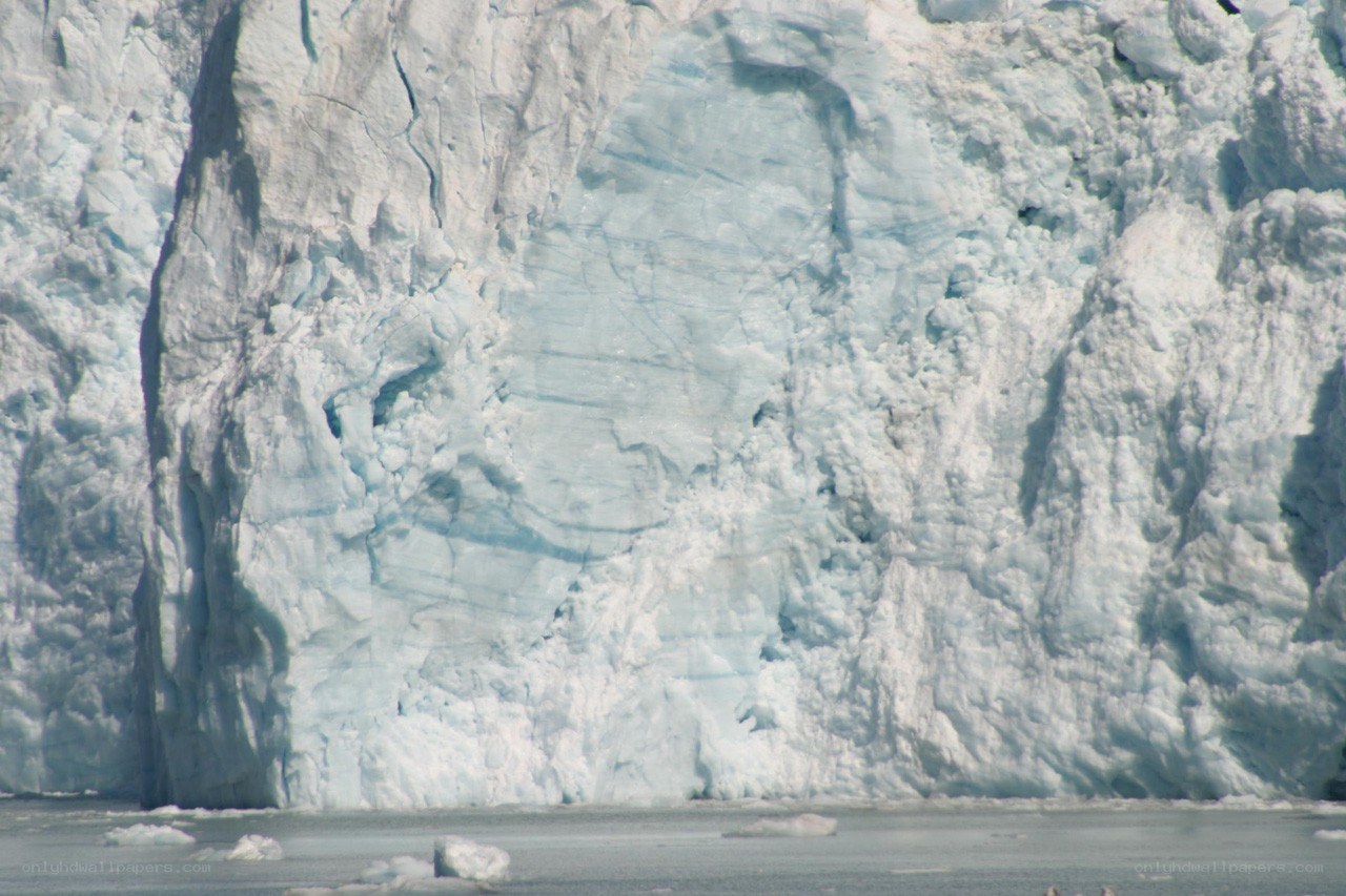 glacier face with icebergs