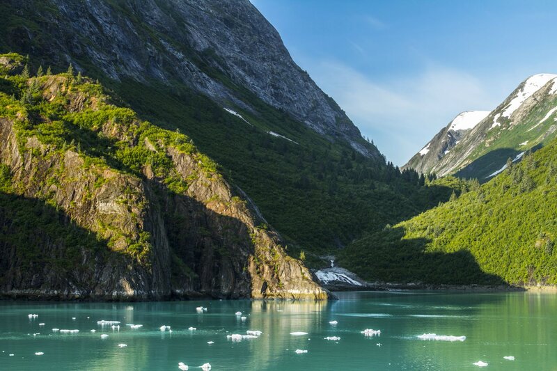 Glacier-fed Lake with Icebergs — Green