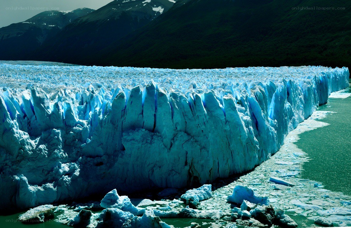 Glacier front with icebergs