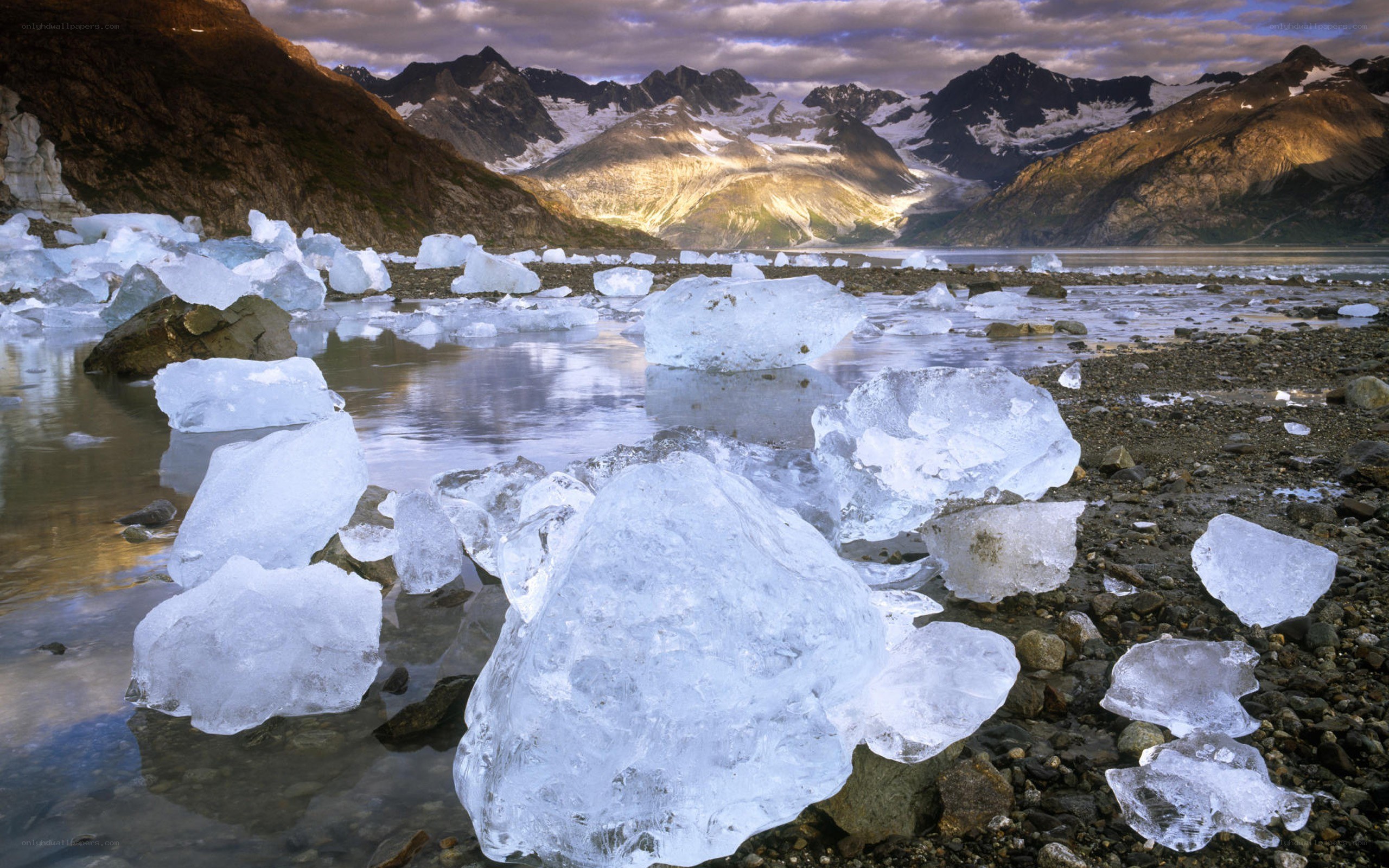 Glacier ice on a rocky shore