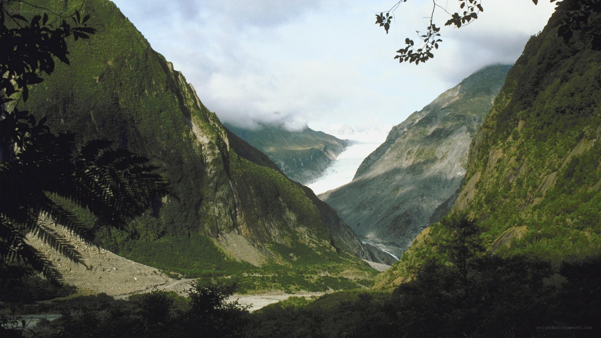 Glacier in a lush valley