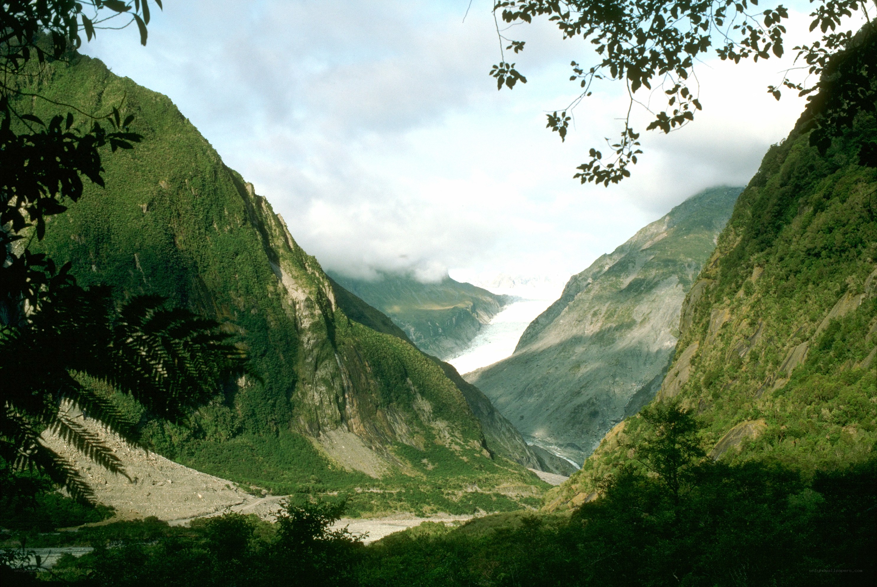 Glacier in a lush valley