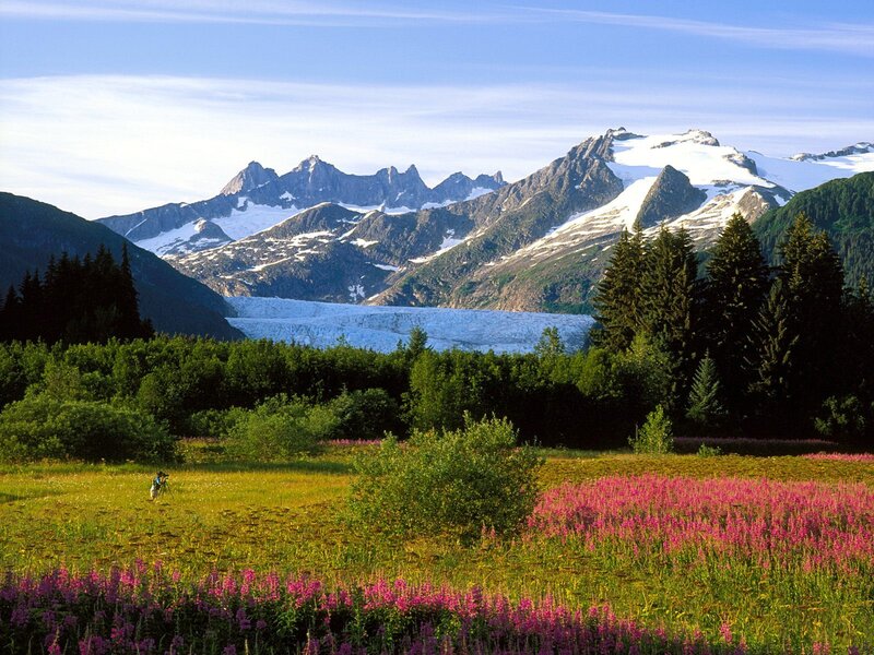 Glacier in a wildflower meadow