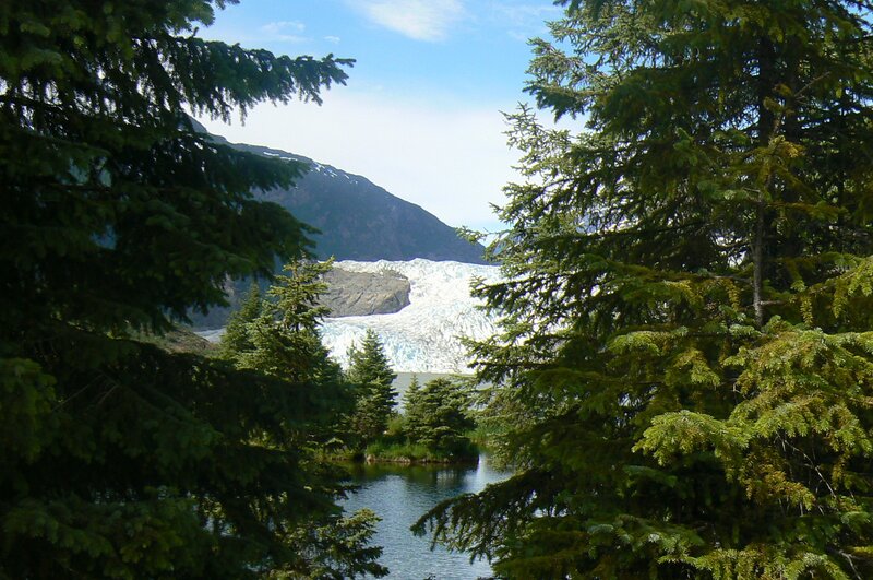 Glacier in Forest