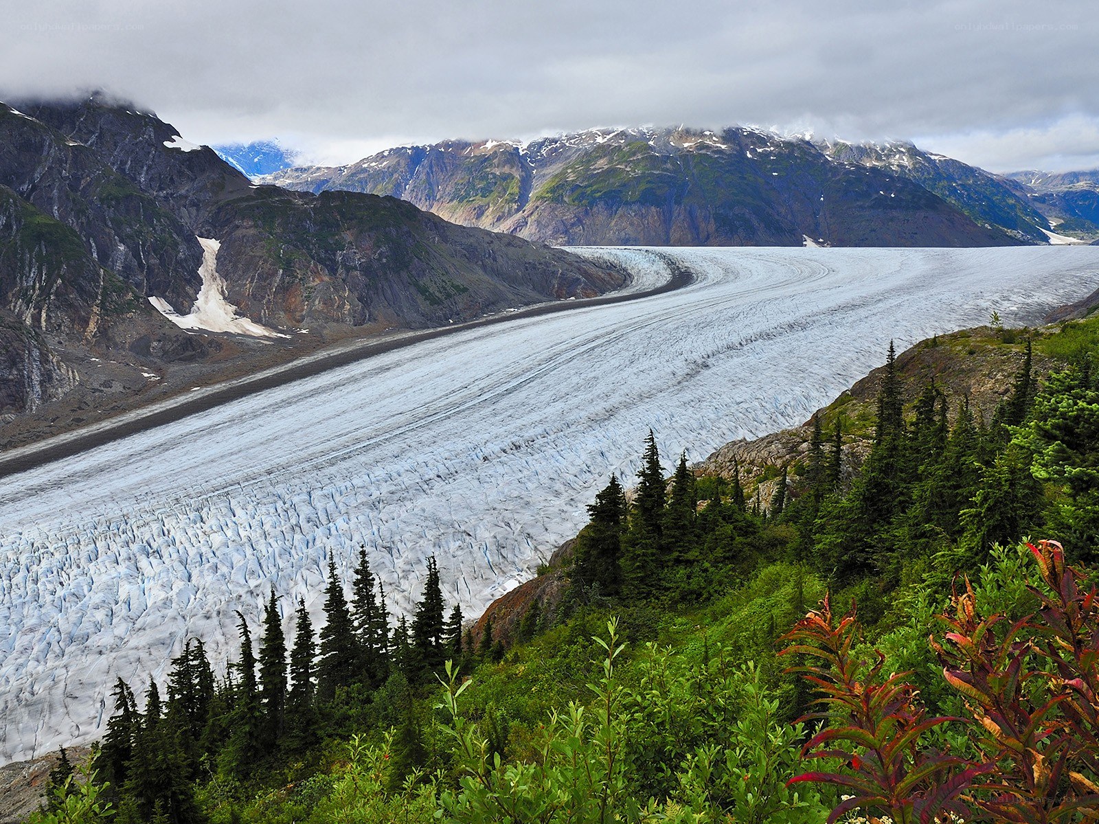 Glacier in mountain valley
