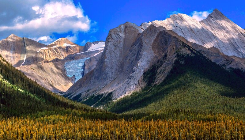 Glacier in Mountain Valley — Blue, Dramatic, Afternoon, Photograph, Mountains, Forest