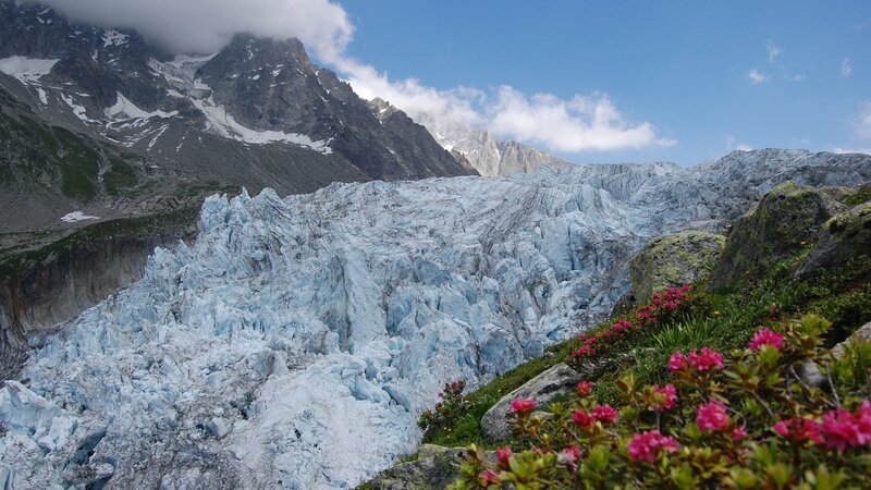 Glacier in Mountain Valley — Blue, Serene, Summer, Photograph, Mountains