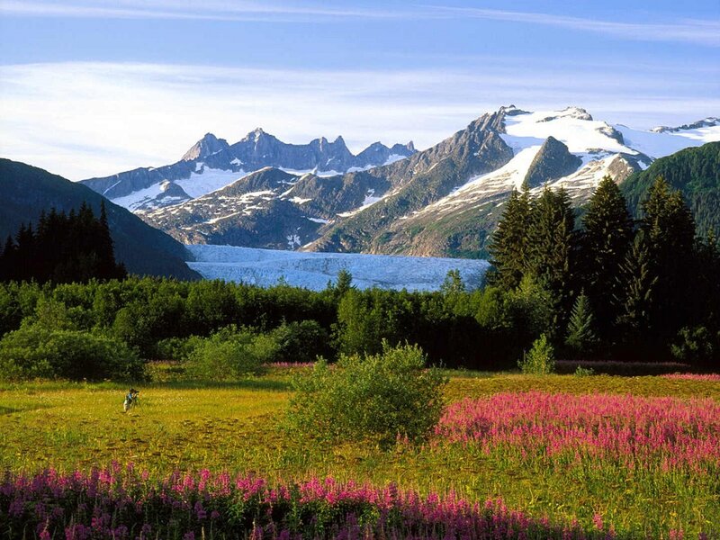 Glacier in Mountain Valley — Green, Serene, Summer, Photograph