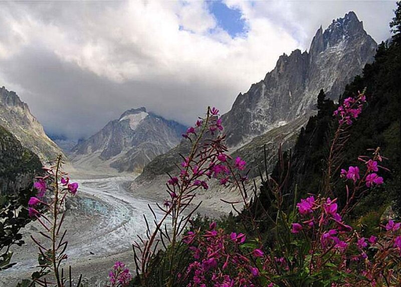 Glacier in Mountain Valley — Purple