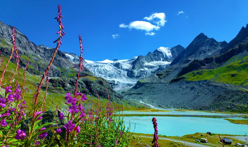 Glacier Lake with Flowers