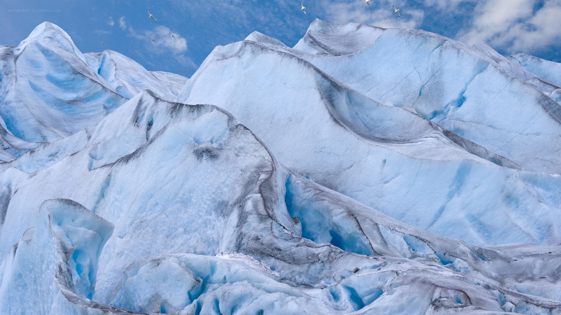 glacier landscape with birds