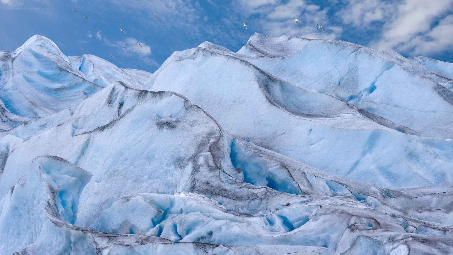 Glacier landscape with birds