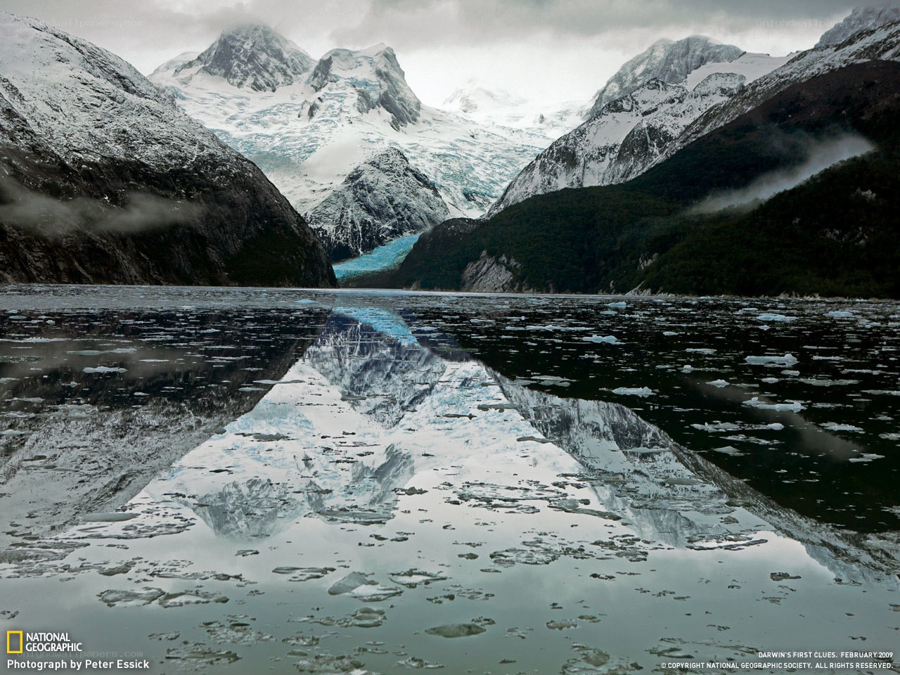 Glacier reflection in a fjord