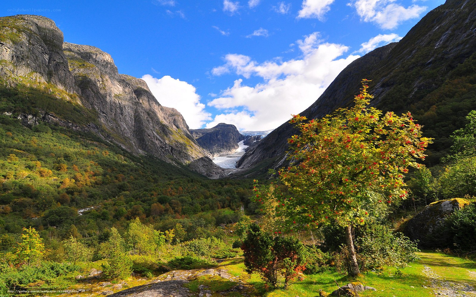 Glacier valley with autumn tree