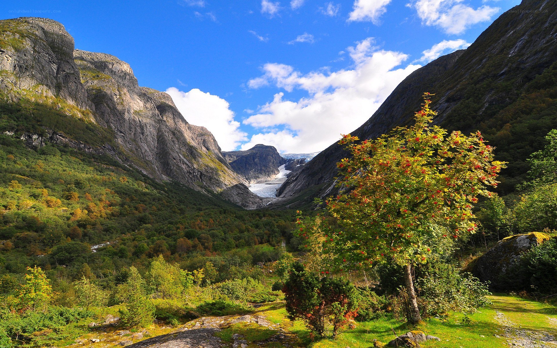 Glacier valley with autumn trees