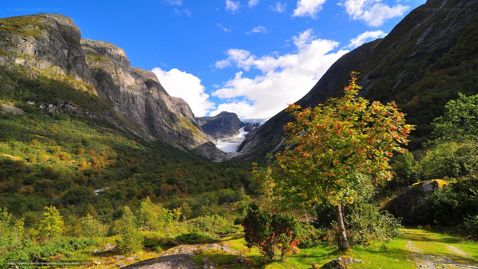 Glacier valley with autumn trees