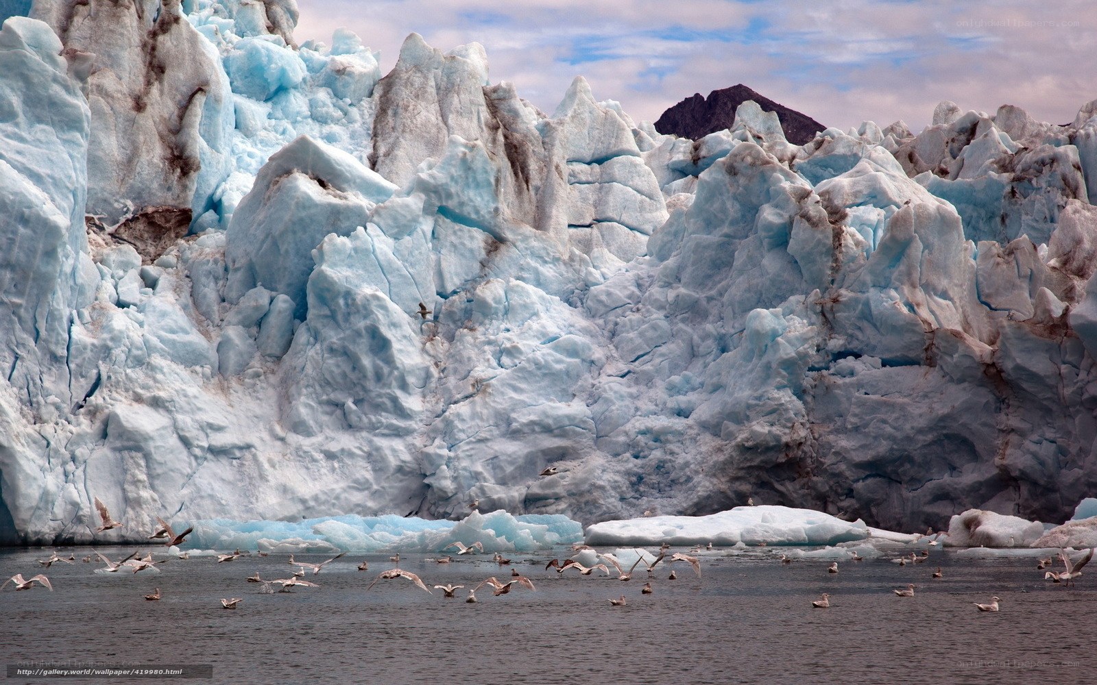 Glacier with birds flying
