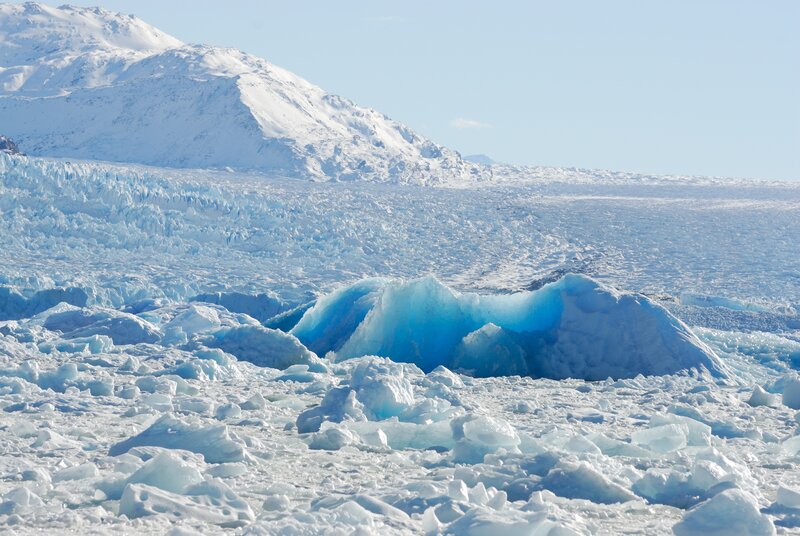 Glacier with Icebergs