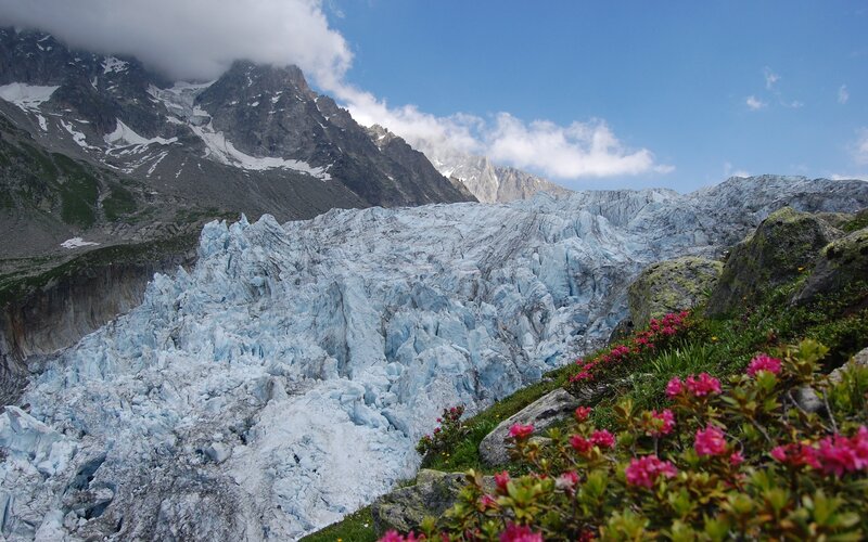 Glacier with mountain backdrop