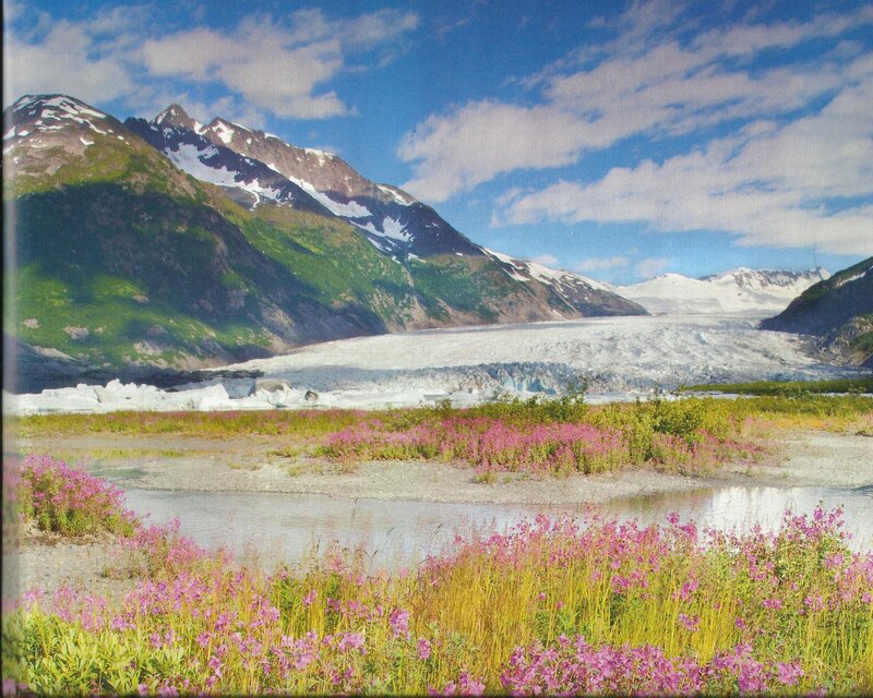 Glacier with Wildflowers — Blue