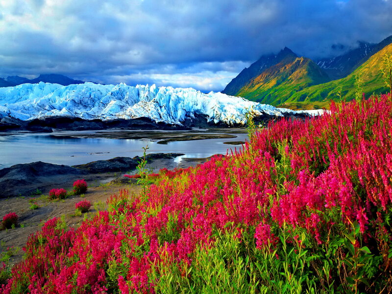 Glacier with Wildflowers