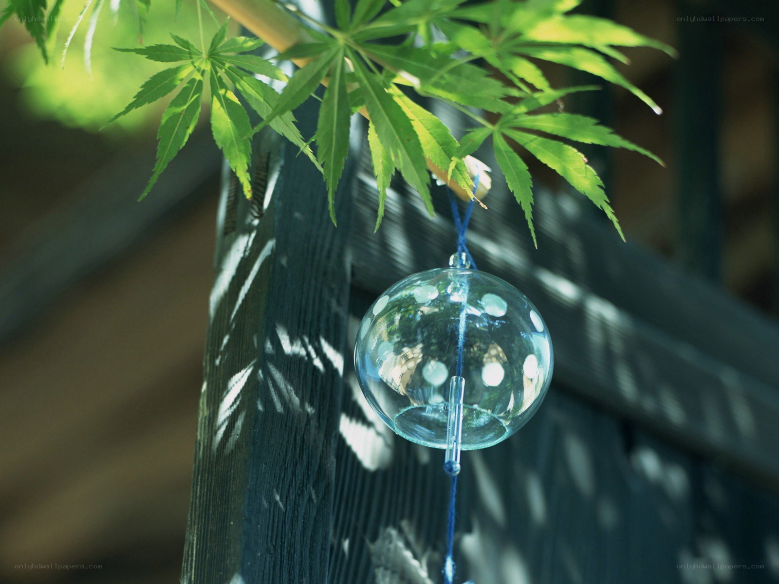 Glass ball wind chime under maple leaves