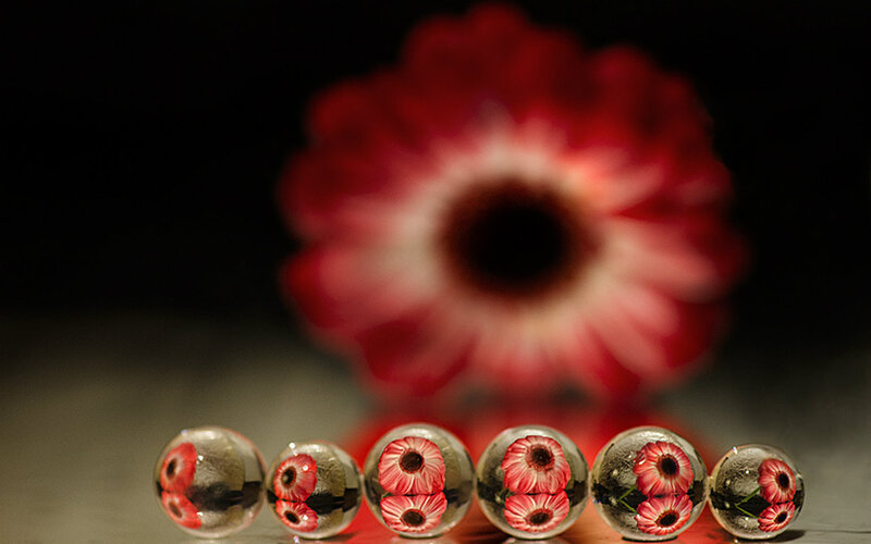 Glass Beads with Flower Design