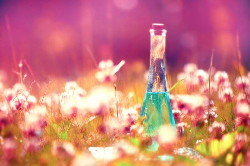 Glass Bottle in Field