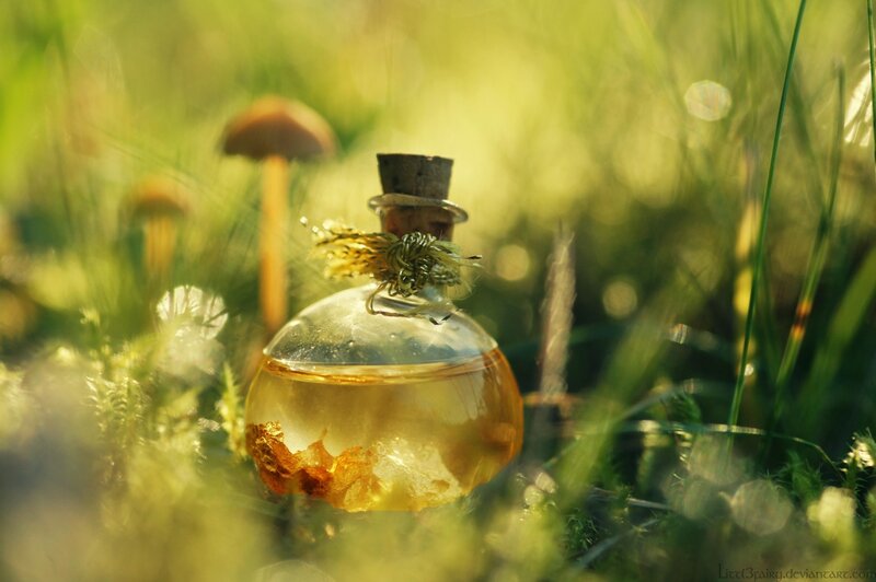 Glass Bottle in Grass