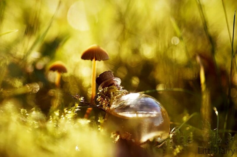 Glass Bottle in Moss