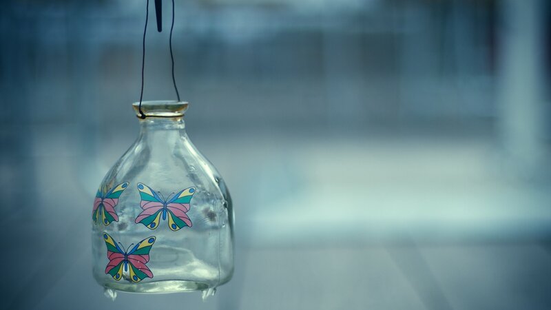 Glass Bottle with Butterflies