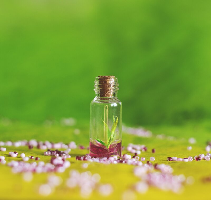 Glass Bottle with Plant