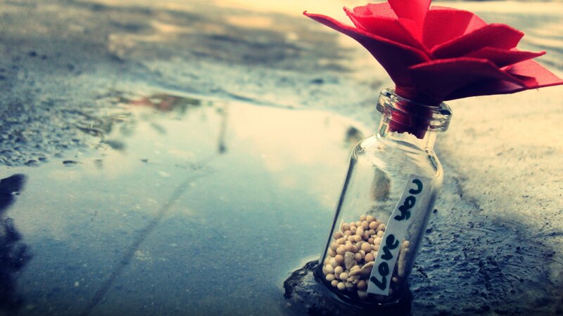 Glass Bottle with Red Flower