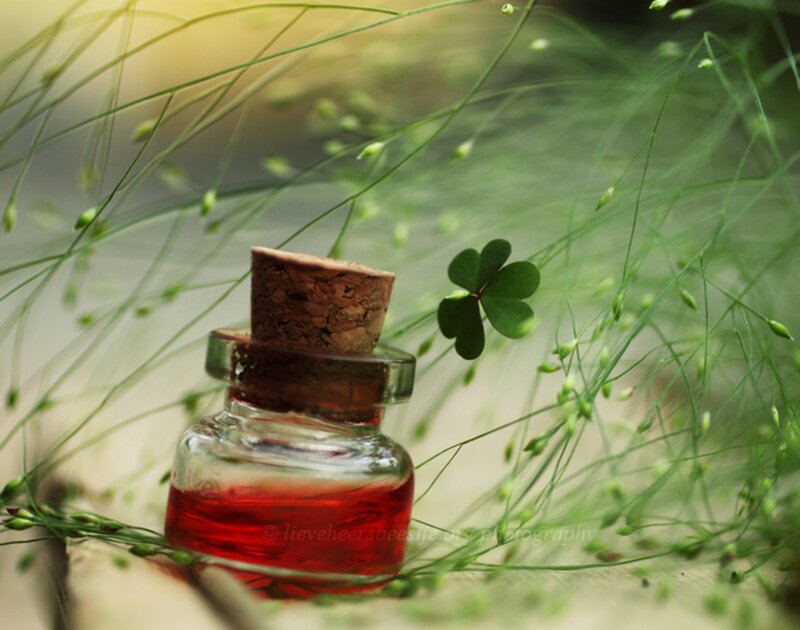 Glass Bottle with Red Liquid