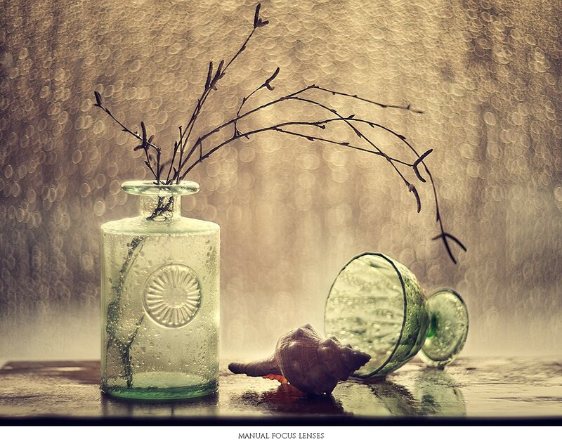 Glass Bottle with Twigs