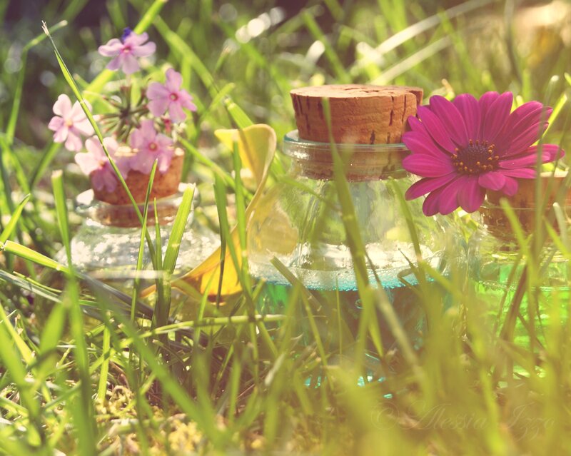 Glass Bottles in Grass