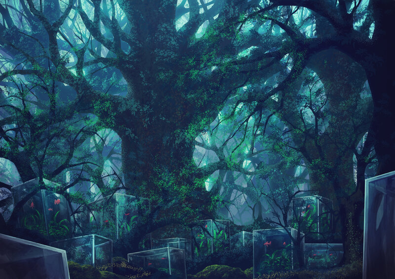Glass Cases in Forest