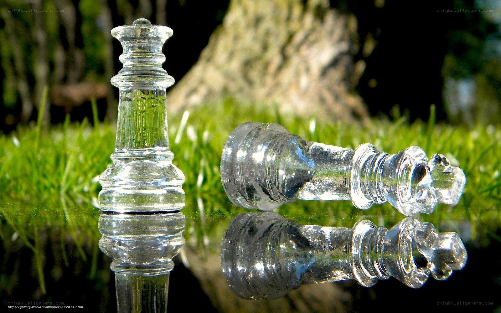 Glass chess pieces on grass