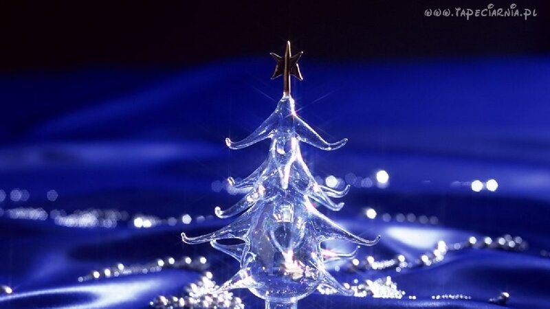 Glass Christmas Tree — Blue, Festive, Night