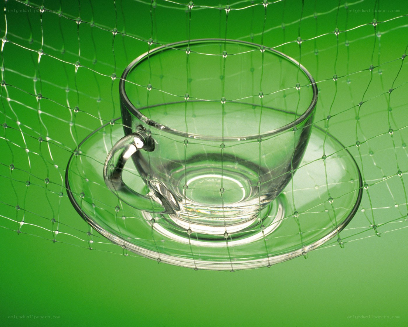 Glass cup on green background