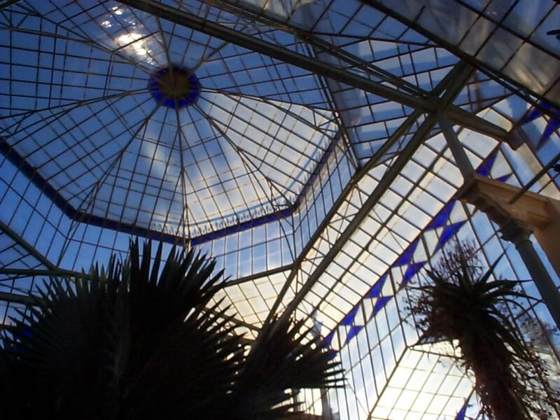 Glass dome ceiling with plants