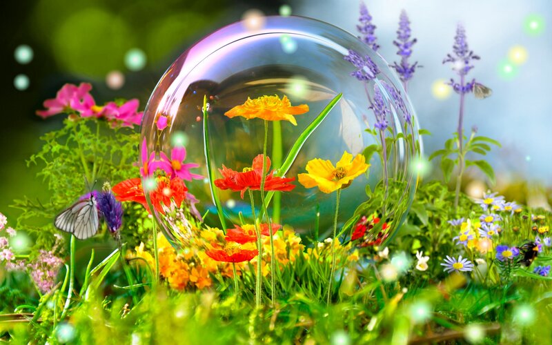 Glass Dome in Garden — Green