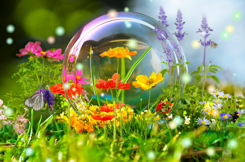 Glass Dome in Garden