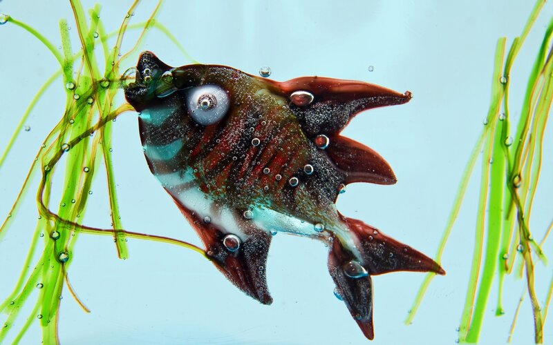 Glass fish sculpture in water