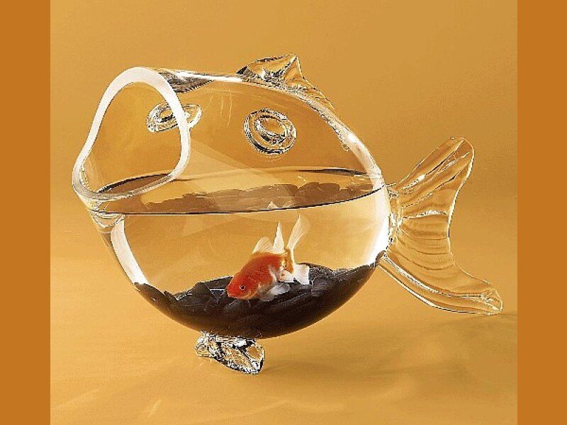 Glass fish-shaped aquarium