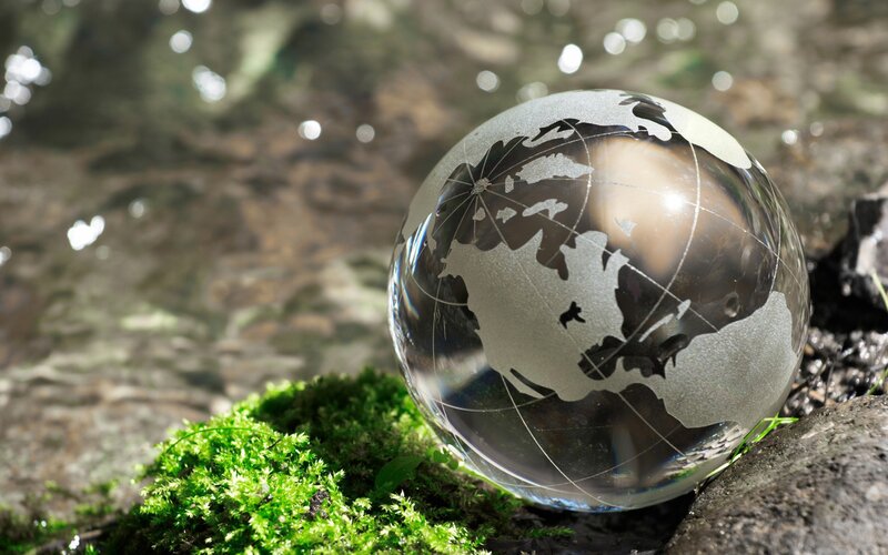 Glass Globe on Moss — Green